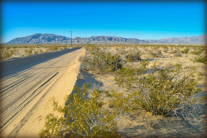 Mojave Road